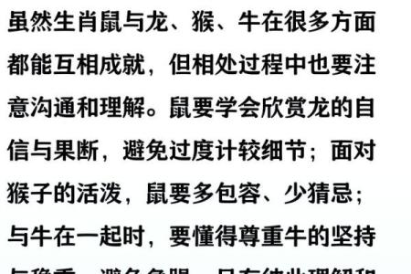 1984年属鼠人2025年全年运势详解，事业财运健康感情运程完整版