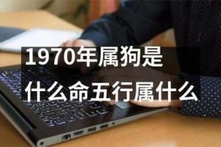 80年属狗是哪一年 80年属狗什么的是什么命