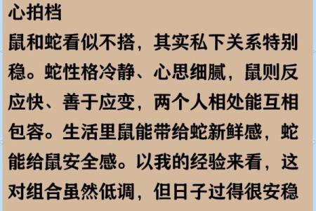 老鼠与鸡的属相合不合 老鼠和鸡的属相合不合