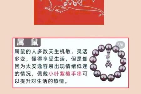 1996年属鼠女2024年运势详解，婚姻感情走向如何？