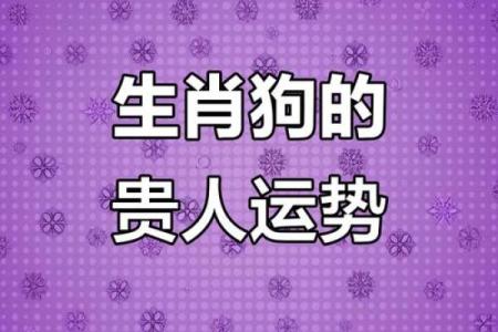 从生肖性格分析明眸皓齿代表的动物是什么？