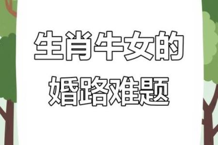 牛女和兔女属相合不合 牛女和兔女属相合不合婚姻