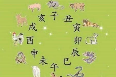 玉衡最忌三种属相 玉衡星代表什么生肖