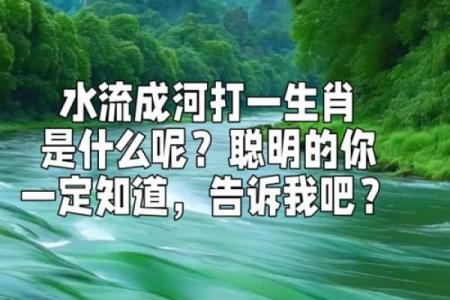 坚壁清野打一正确生肖