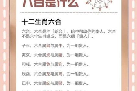 虎男和猪女的属相合不合