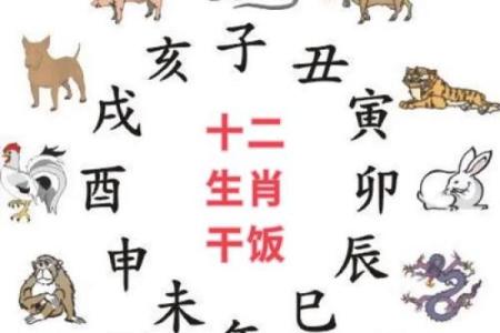 贼走关门是什么生肖(贼走关门是什么生肖,求解)