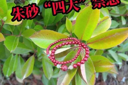 孕妇能戴朱砂吗有忌讳吗 怀孕期间可以佩戴朱砂吗