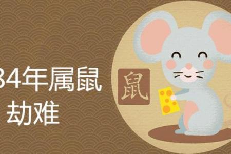1972年出生的属鼠人三大劫难分别发生在多少岁，如何化解？