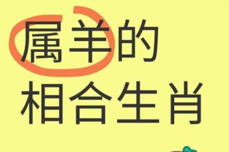 属马属羊属猴三口之家 羊马夫妻不到头啥意思
