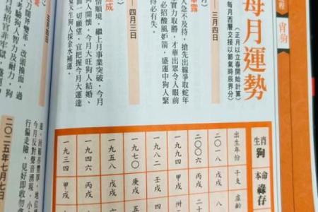 1994年属狗人2025年运势详解，全年财运事业健康运程如何