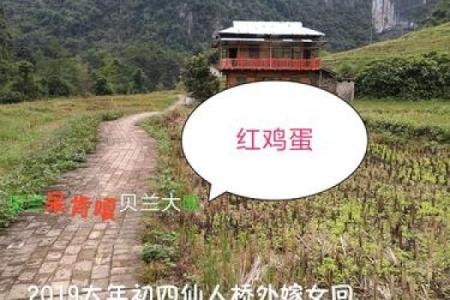 回娘家活动方案 回娘家活动目的和意义