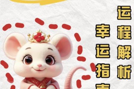 2025年属鼠人财运、事业、感情健康全年运势预测与开运指南