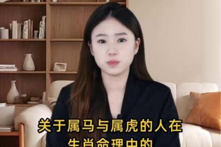 属马与属虎的属相合不合 属马与属虎的属相合不合适