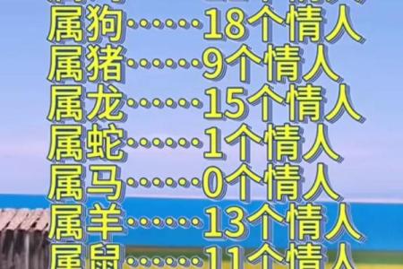 孤家寡人三大生肖 孤家寡人一个生肖