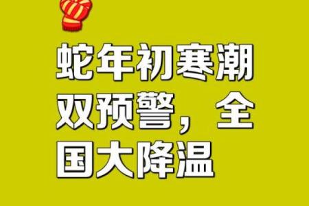 ‌冬至打一生肖 → 蛇（蛇蛰冬至，阴极阳生）‌