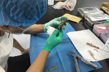 天网恢恢打一个生肖(天网恢恢打一个生肖动物)