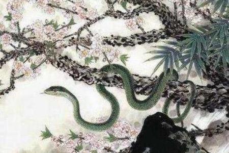 醇酒美人是什么生肖