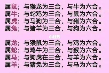 鼠女和虎男的婚姻配对是否真的适合长久相处？