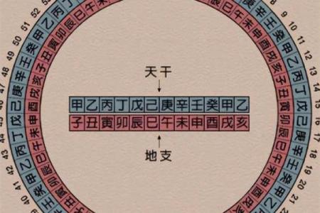 短斤缺两是什么生肖