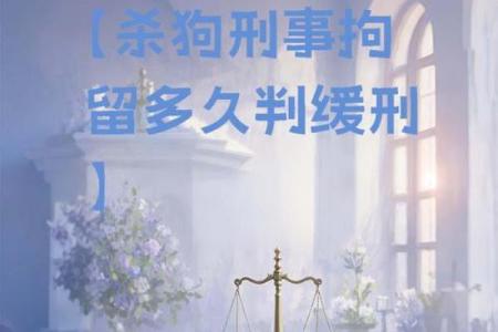 ‌萧墙之祸是什么肖 → 狗（祸起萧墙，家犬反噬）‌