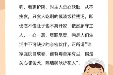 帮狗吃食是什么生肖