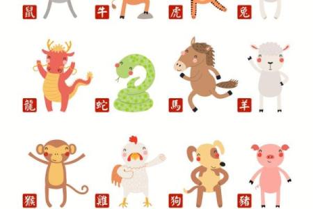 生肖排第四是什么生肖 62年是什么生肖