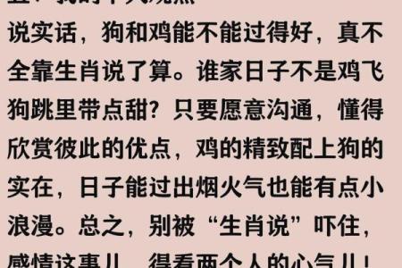 鸡属相和狗属相合不合 生肖鸡和兔子合不合