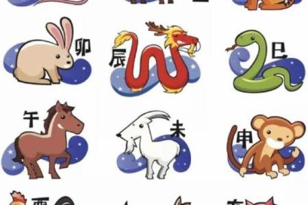 今年的十二生肖排行榜 今年的12生肖