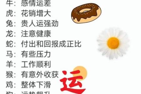 属鼠和属猴的合财吗 属鼠和属猴的合不合财运