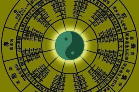 2024年犯天罗地网生肖详解与破解转运策略