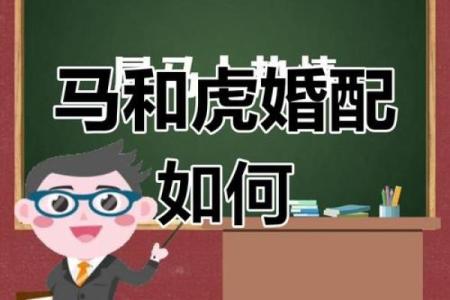 女虎与男兔子属相合不合 女虎与男兔子属相合不合婚姻