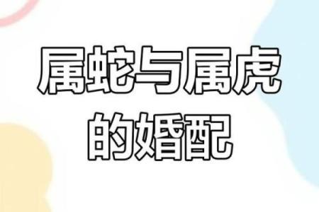 男鼠和女蛇的属相合不合婚姻 男鼠和女蛇相配吗婚姻
