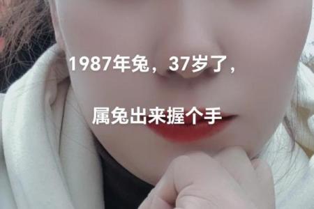 87属兔2024年有三喜
