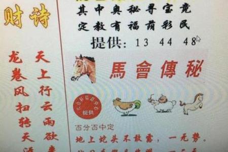 高瞻远瞩打一个生肖