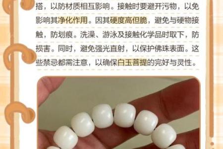 什么属相不能戴白玉菩提 哪些属相不适合戴玉观音