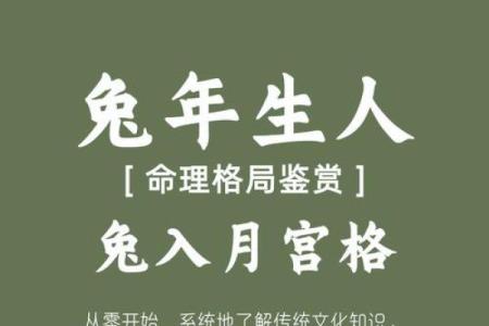 ‌唇亡齿寒打一生肖 → 兔（兔唇齿寒，相依为命）‌