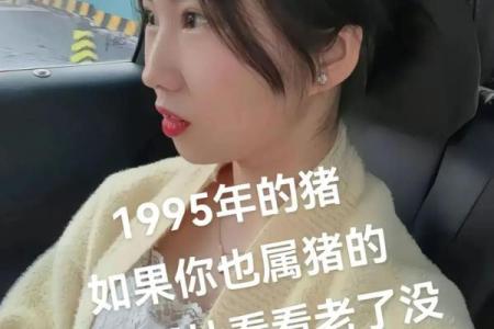 1995年属猪一生经过几个大劫,1995年属猪女一生能离几次婚