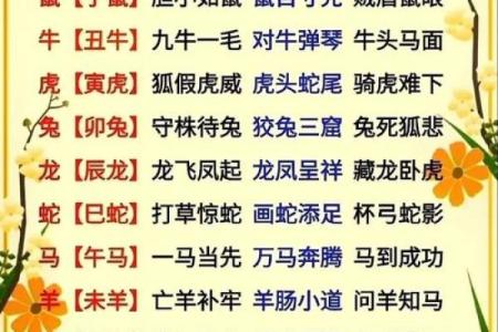 目光短浅是什么生肖(目光短浅是什么生肖最准确的动物)