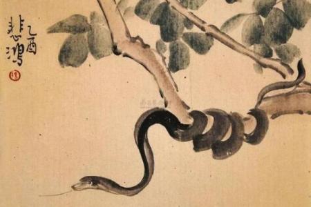 什么属相不能叫曦 什么属相不能叫熙