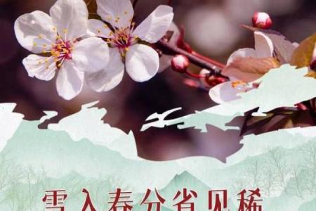 ‌柳绿花红是什么生肖 → 兔（兔傍花柳，春色盎然）‌