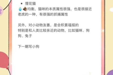 哪些属相不能养猫 什么不能养猫