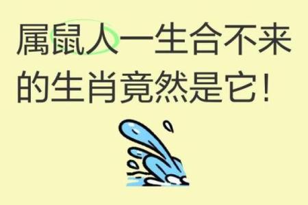 鼠和鼠的属相合不合 鼠和鼠的属相合不合做生意呢