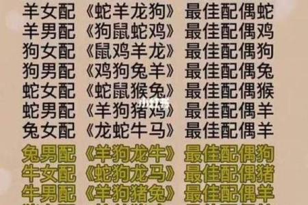 蛇和兔子属相婚配如何 男兔女蛇千万别在一起