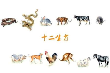 十二生肖中哪个动物最擅长变化，让人捉摸不透？