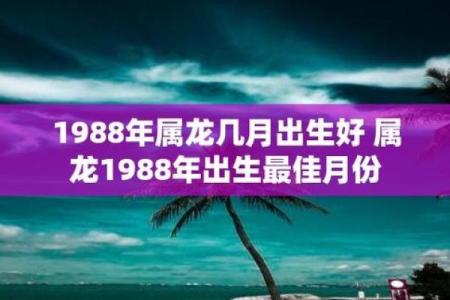 1988年属什么生肖的命 1988年属什么生肖五行是什么