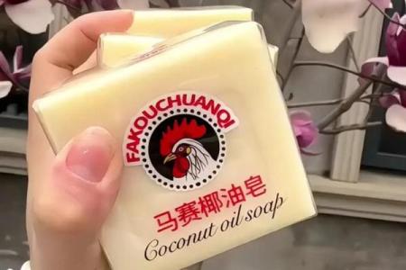 肥皂代表是什么生肖