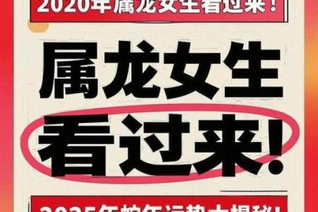 2025属龙的大忌颜色 2025属龙大忌颜色是什么意思
