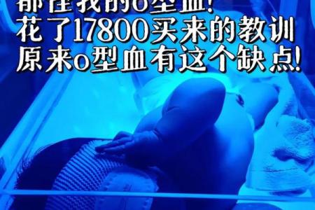 处女座属马O型血与天蝎座属猴AB型血婚配指数及性格契合度深度解析