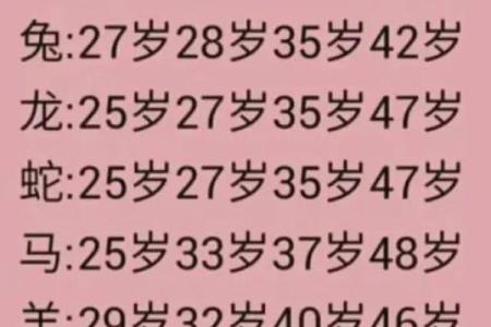 2020年最旺的生肖
