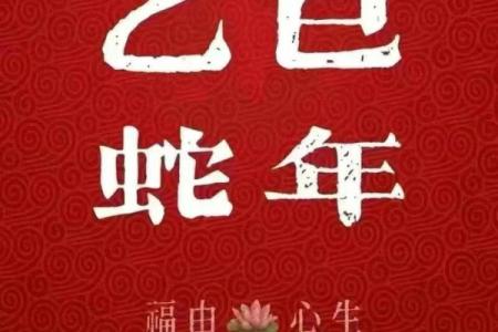 2004年是什么年生肖属相 2004年是啥生肖